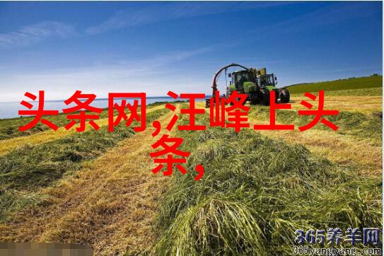 今日头条极速版下载免费快捷阅读轻松生活
