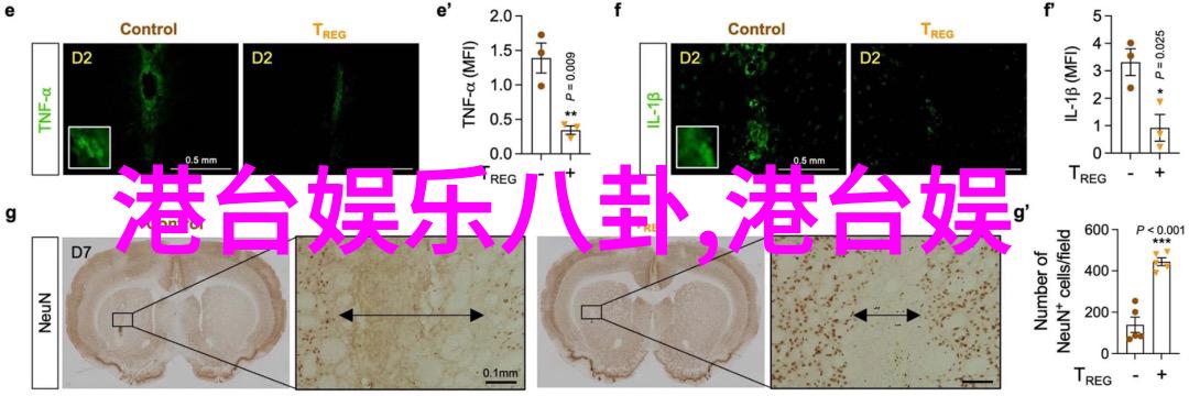 娱乐圈新人如何快速崛起潜规则与努力之间的平衡