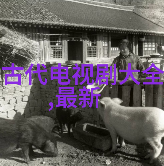 如何通过全棵女性艺术写真传达性别平等的信息
