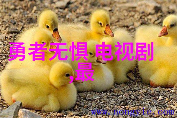 不懂撒娇的女人铁血柔情的电视剧篇章