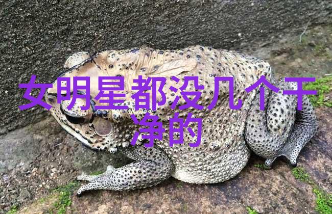 无线中字阅读智能手机上的高品质文字体阅读体验