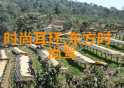 城管大楼晚上亮灯被指似娱乐场所我市城管局大楼夜幕下异乎寻常的光彩让人不禁好奇这究竟是怎么回事