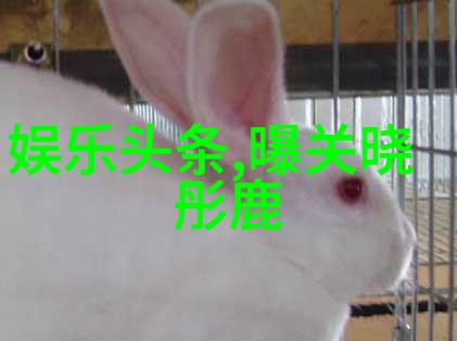 亚洲美食挑战王心凌5分钟签完百张专辑