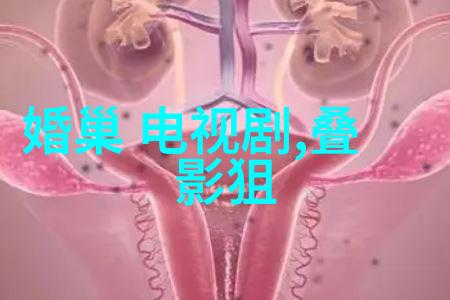 大胆艺术写真如何在社会中引发争议与讨论