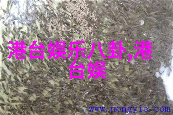 免费解析命运揭秘算八字的准确网站