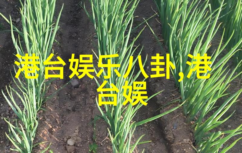 末日生存指南在废墟中寻找希望的灯塔