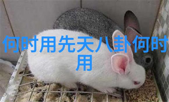 快乐大本营30年从小鬼到老虎怎样跨越时空的欢声笑语