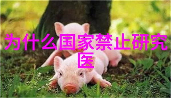 影视仓我在这里守着你的电影世界