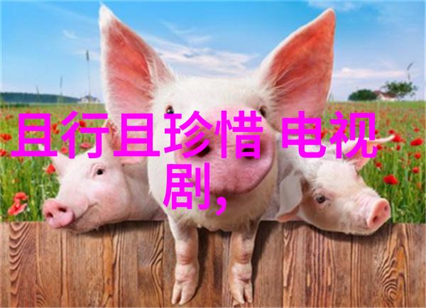 音乐爱好者福利全能免费歌曲下载应用程序