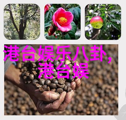 综艺3国智大咖董思成是很熟的味道呀化身糖果小能手反复展示感人又幽默的一面满载梗趣