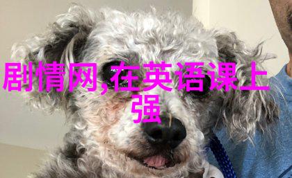 误入综艺镜头后我火了从默剧新人到网红爆红的逆袭故事