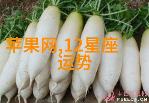 肖战杨紫共演梦幻青砖红唇绽放繁华之光