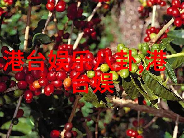 吴秀波与唐艺昕的天涯之谜他们的真实交锋又是怎样的