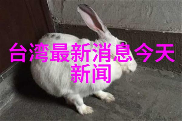 星象秘密揭开五行八卦的神奇力量