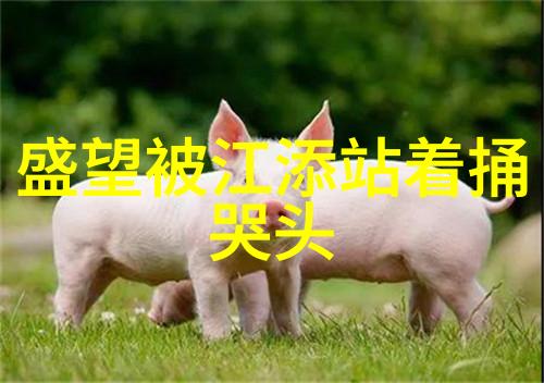 揭秘先天八卦与后天八卦之分古代占星术中的阴阳互动