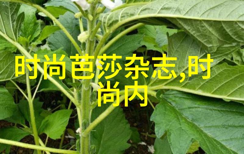 生命密码解锁用易经看透你的星座和性格特点