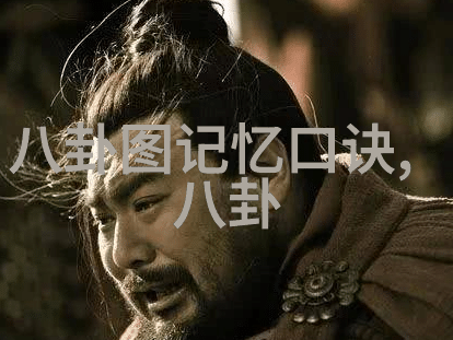 伪装者 电视剧-掩面者的双重生活揭秘伪装者背后的真相