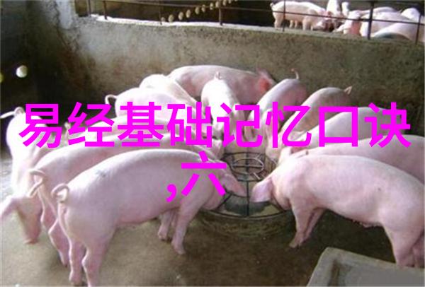 娱乐场所我在哪家KTV爆歌都没人听揭秘那些不再热闹的夜晚