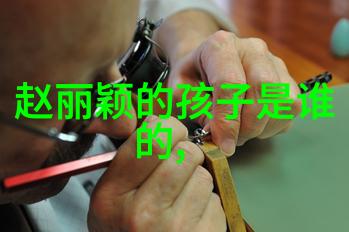 跨国界限下的家乡情怀海外华人的对台看法
