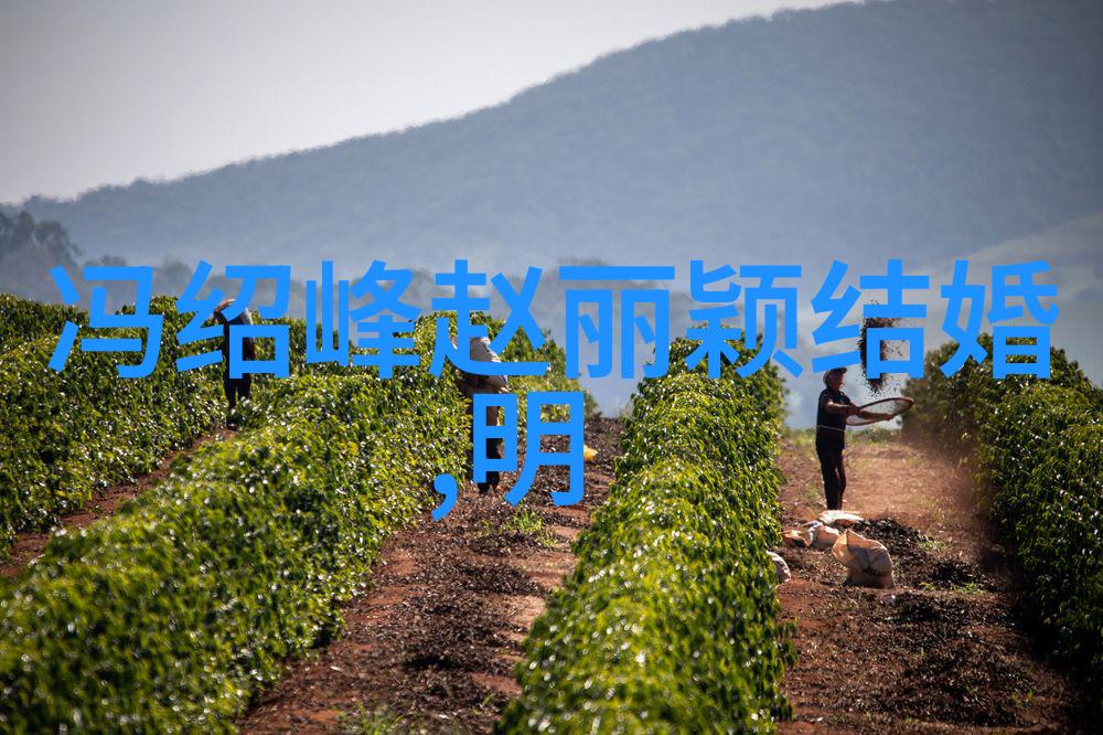 皇恩娱乐数据显示39岁阿娇宣布终身不嫁与赖弘国关系无挽回可能