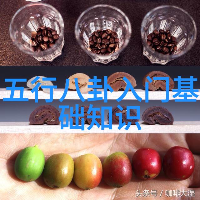 从前线到后镜头rosi写真背后的故事