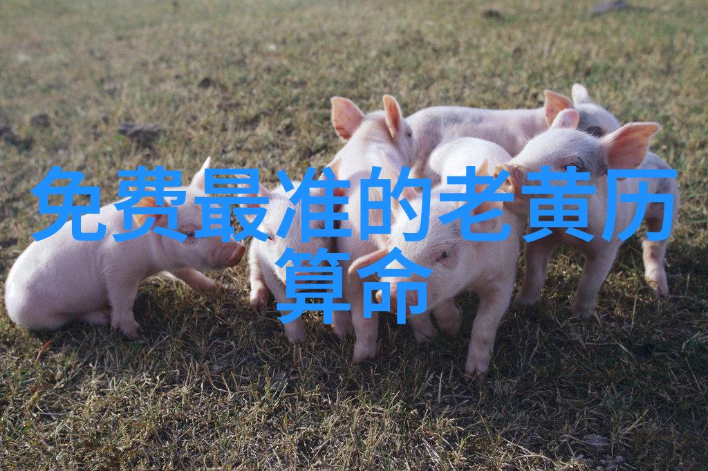 民国公子穿成咸鱼假少爷社会娱乐圈四大天王是谁相比更有才华
