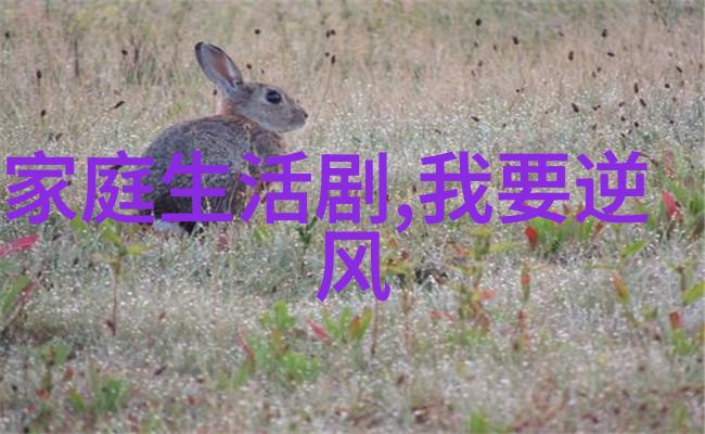 使用音乐下载自由软件对我的隐私信息安全吗