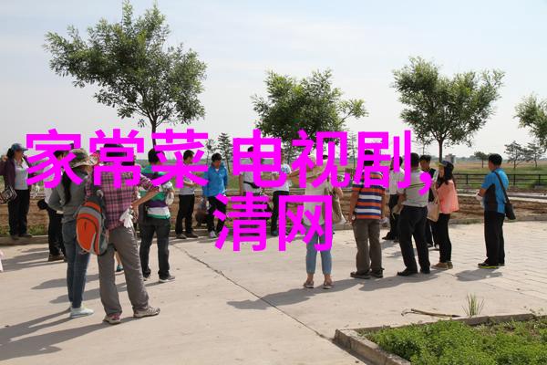 笑声与魅力深入日本综艺节目的世界