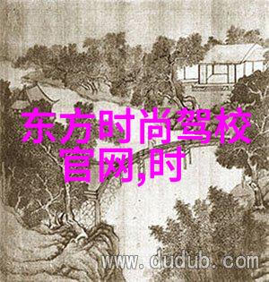 透视真相揭秘写真的艺术与哲学