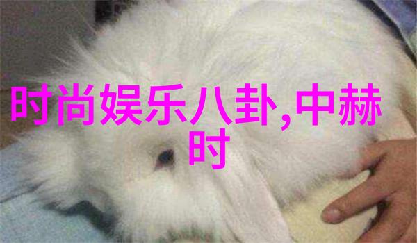 探索奇异剧本鲨综艺的成功之道