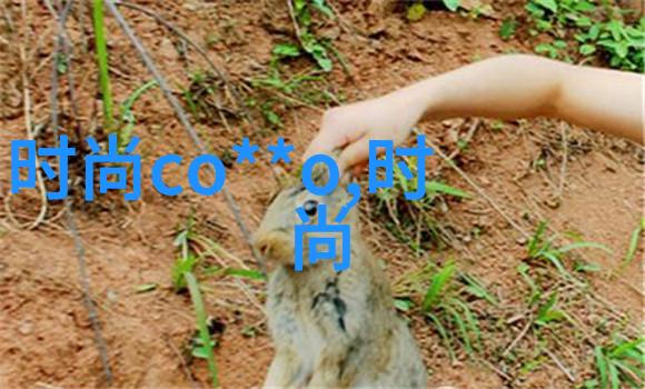 全网无损免费音乐网站的秘密宝库