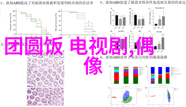 最好的我们海报预告双发少女免费观看完整电视电影盛夏上映人物甜美气息充沛