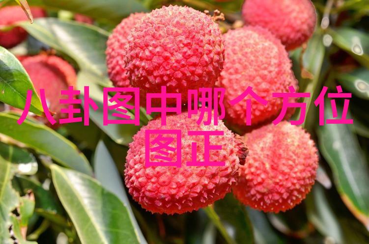汪峰的逆袭从街头演唱到首都高地