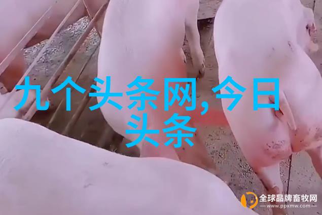 名门暖婚 权贵千金的温柔策略