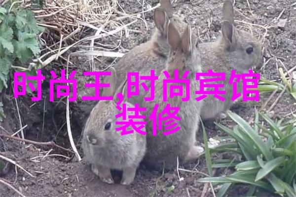 中国空间站天和核心模块完成首次交付任务中国航天科技的重大成就