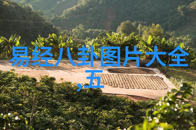 绘龙图大自然的万千风光