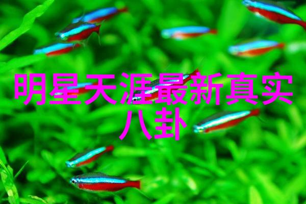 成人电影我的秘密天堂