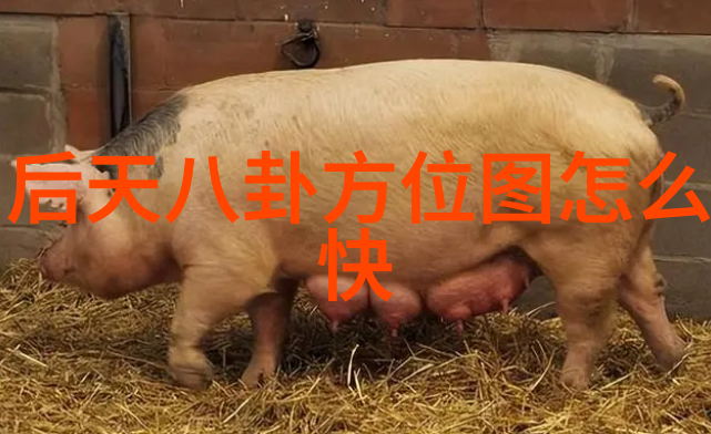 免费高清壁纸下载站点为你的设备带来视觉盛宴