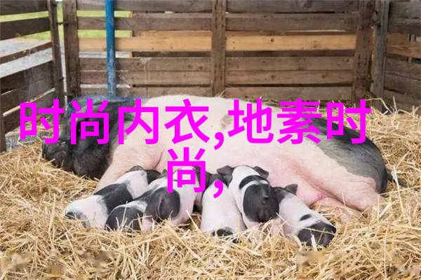 月光下的影视盛宴免费观看的乐趣
