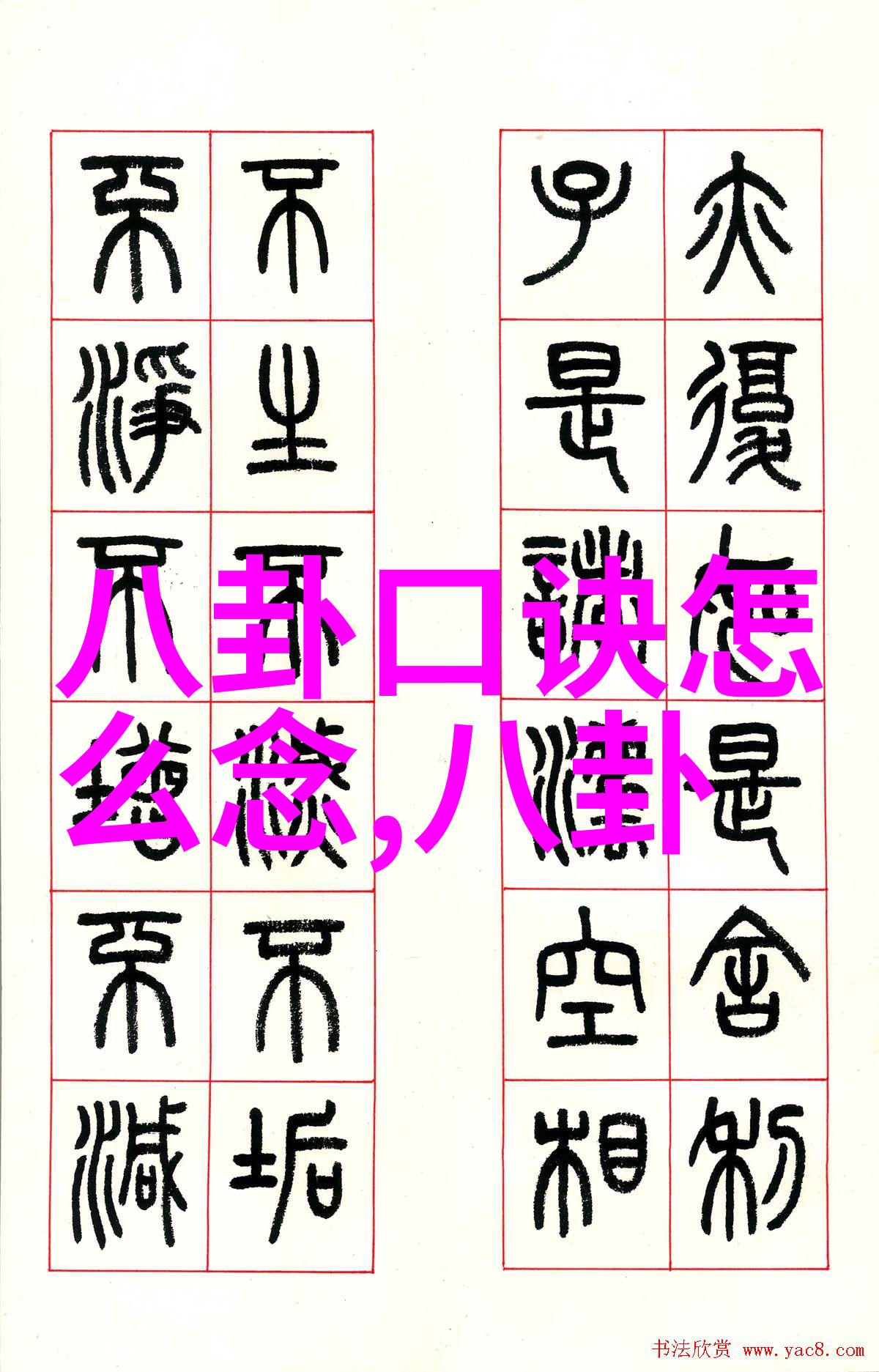 安徽综艺频道欢乐满载的电视时光