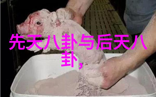 家务达人秀厨房挑战