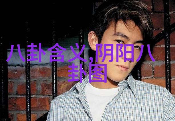 易经卦象图详解-揭秘古籴易经卦象图的深层次解读