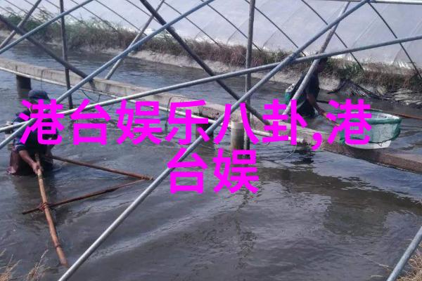大胆艺术写真我敢想象我的裸体写真故事
