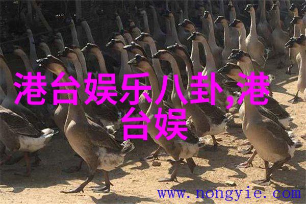 温暖汤品的诞生探索传统食疗文化中的汤头秘方
