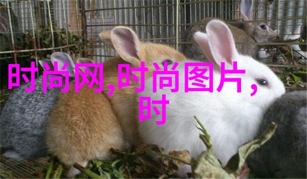 八一影视-追忆岁月八一影视厂的华丽回顾