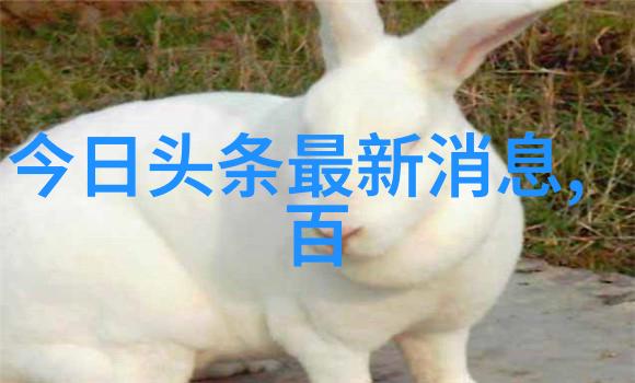 云木吃瓜韩婧格视频我是如何被云木的吃瓜直播带入韩婧格热潮的