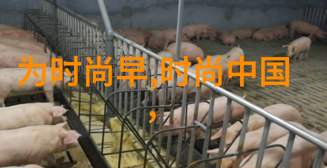 韩婧格亲眼见证高清视频下载观看的魅力