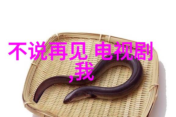 我的前半生 电视剧-重燃往昔探索我的前半生电视剧中的情感纠葛