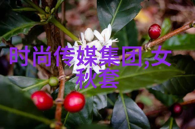 语言地理与意识形态构成台北府城的身份标签系统