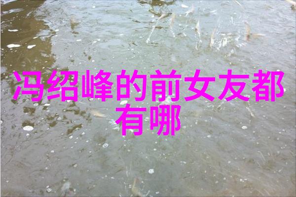绚丽梦想爱恋珠光的电视奇缘